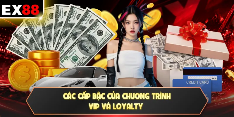 Các cấp bậc của chương trình VIP và Loyalty