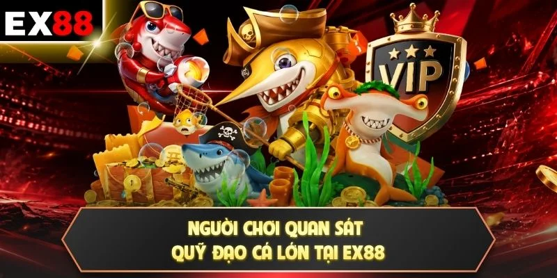Người chơi quan sát quỹ đạo cá lớn tại EX88